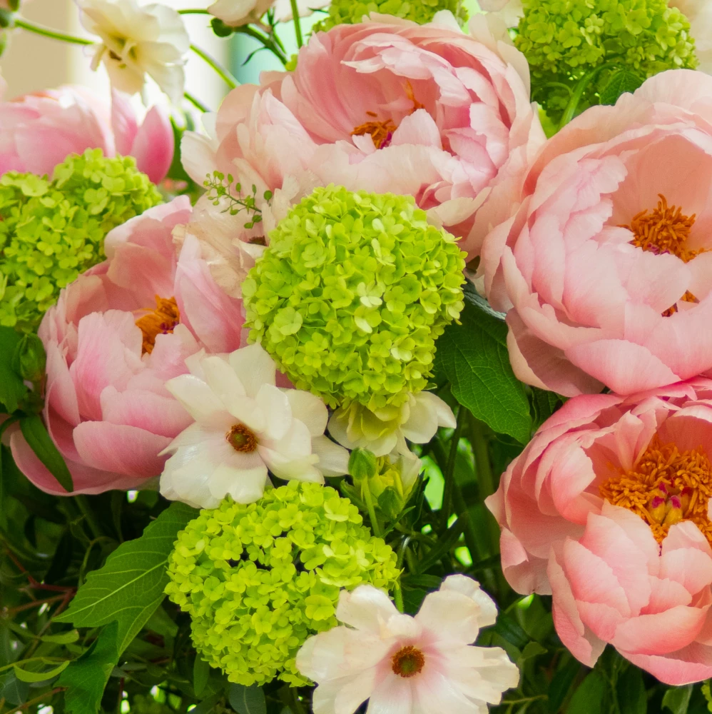 Coral Charm - Bouquet of the Month - Image 3
